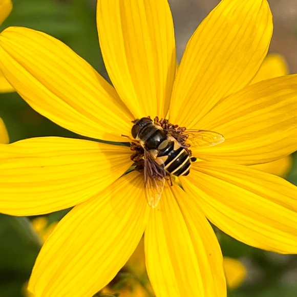 Meet your Posher, Karen - Picture 2 of 6